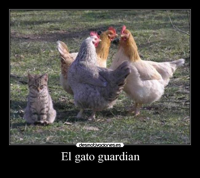El gato guardian -