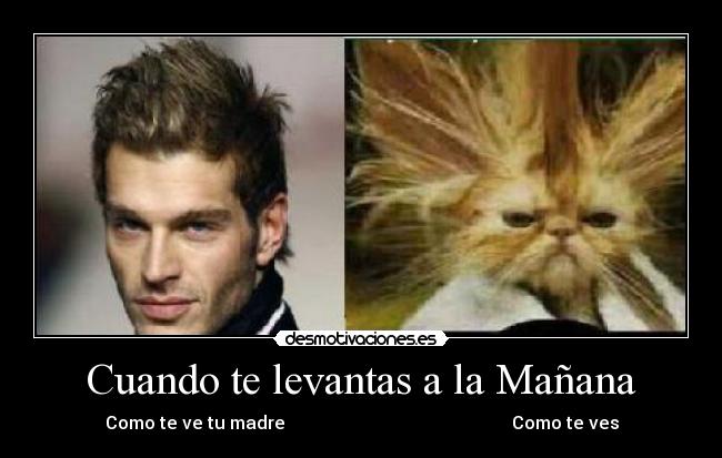 Cuando te levantas a la Mañana -