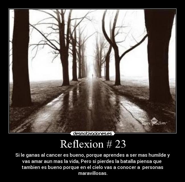 Reflexion # 23 -