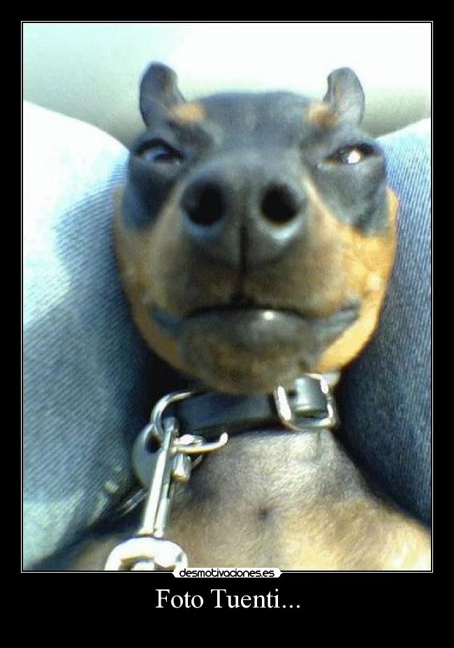 Foto Tuenti... - 