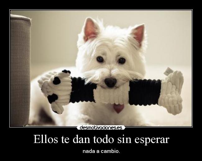 carteles yeeeah desmotivaciones