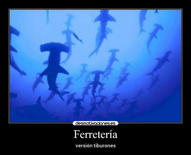 Ferretería - versión tiburones