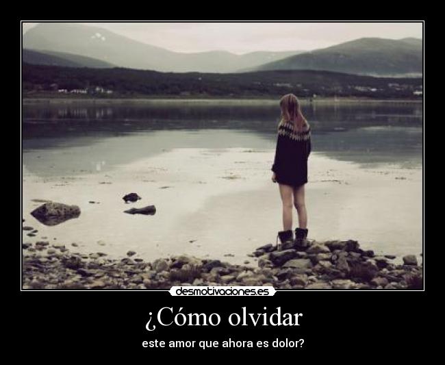 ¿Cómo olvidar -