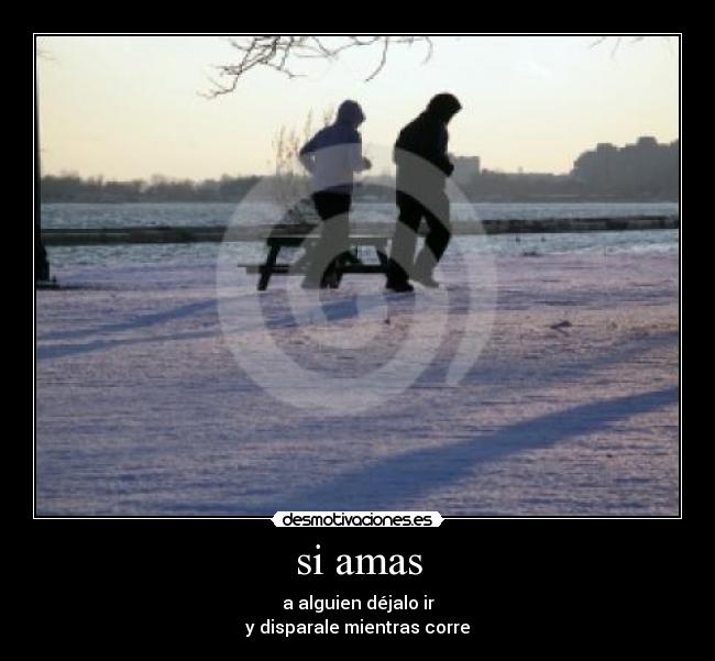 si amas -