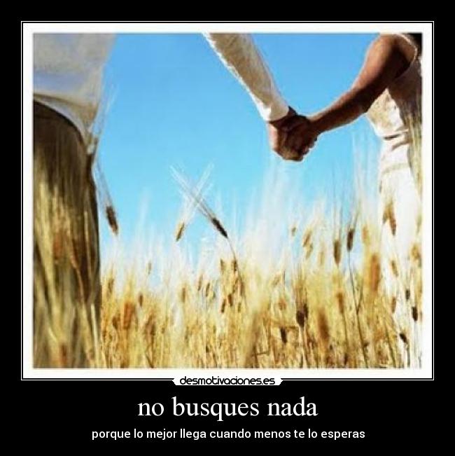 no busques nada -