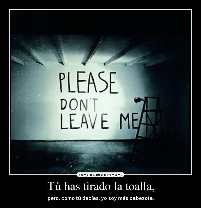 Tú has tirado la toalla, - pero, como tú decías, yo soy más cabezota.