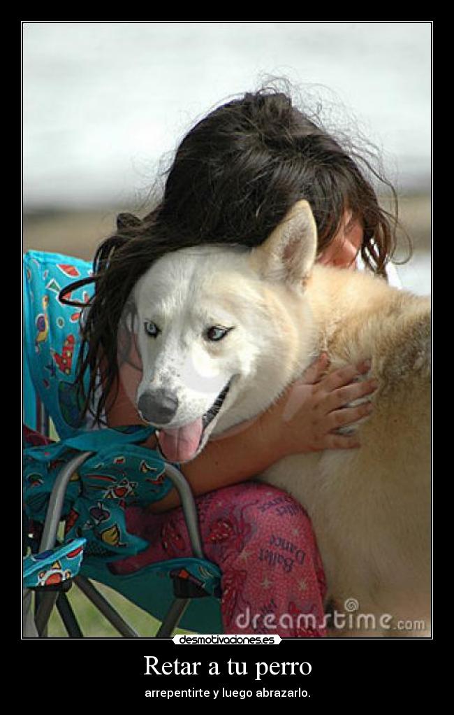 Retar a tu perro - arrepentirte y luego abrazarlo.