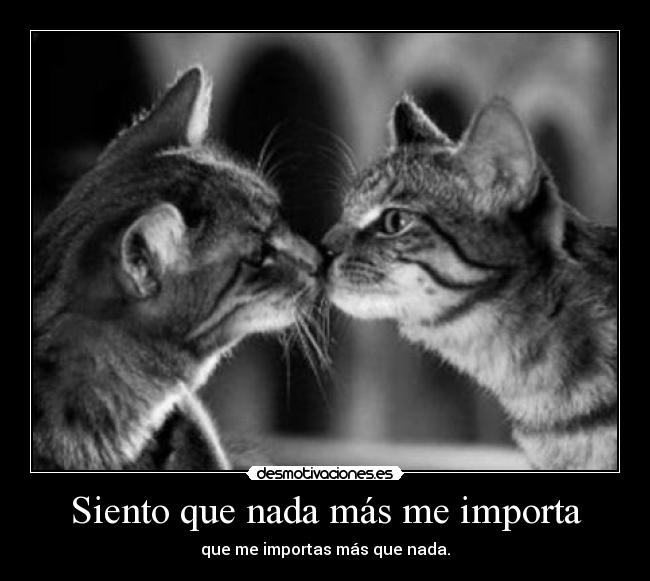 Siento que nada más me importa -