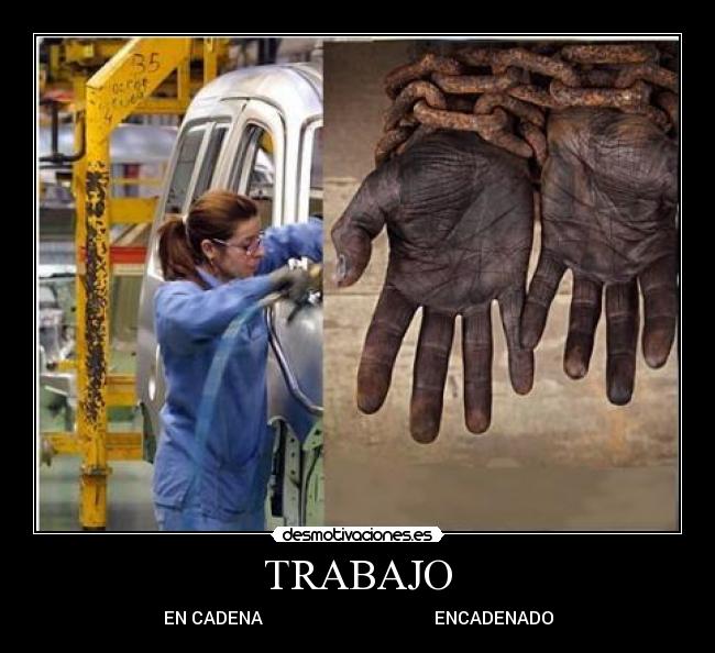 TRABAJO -