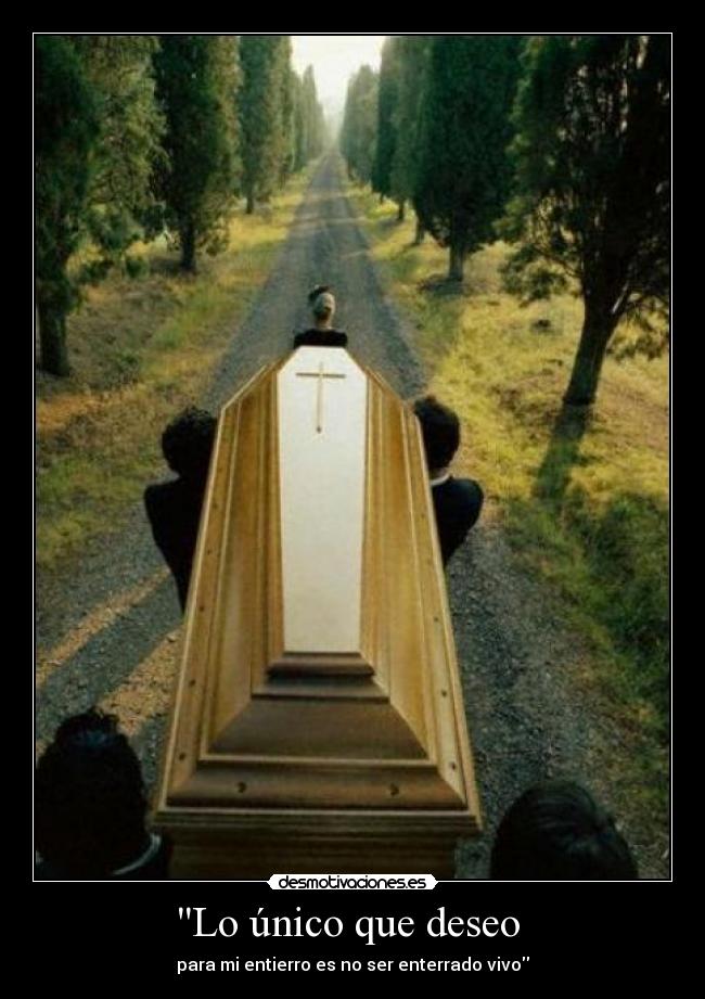 carteles vivo desmotivaciones