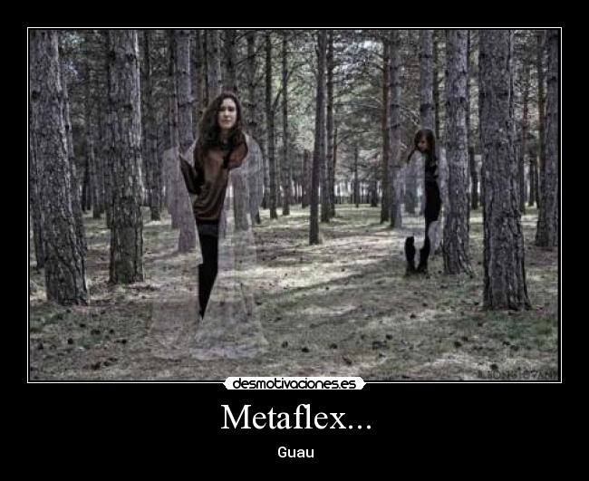 Metaflex... - Guau
