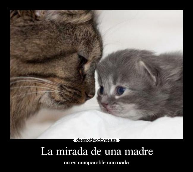 La mirada de una madre - no es comparable con nada.