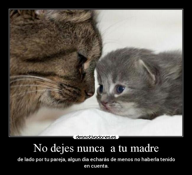 carteles madre mama quiero desmotivaciones