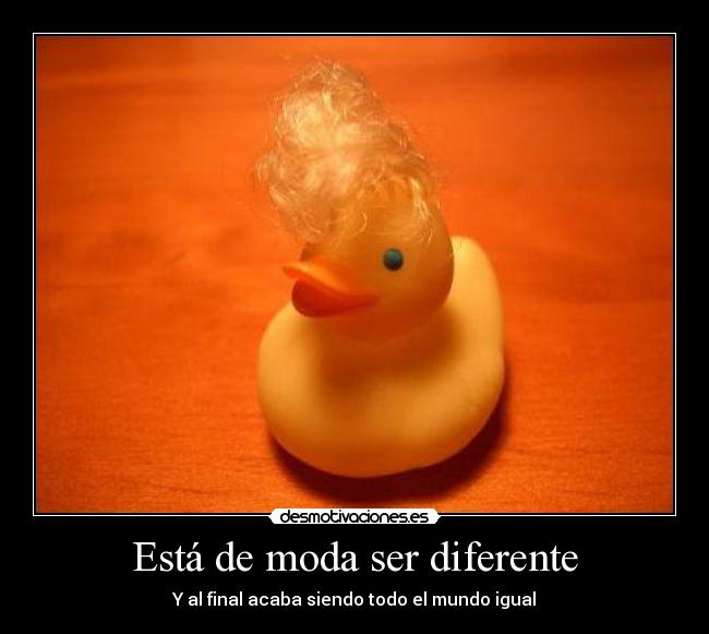 Está de moda ser diferente - 