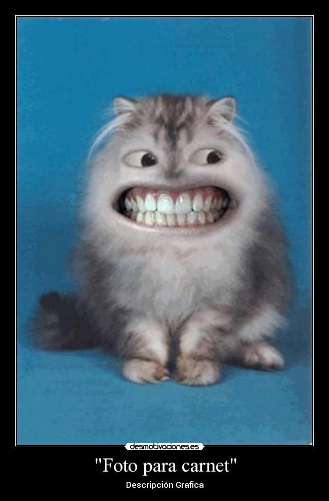 carteles fotos carnet siempre salimos como queremos desmotivaciones