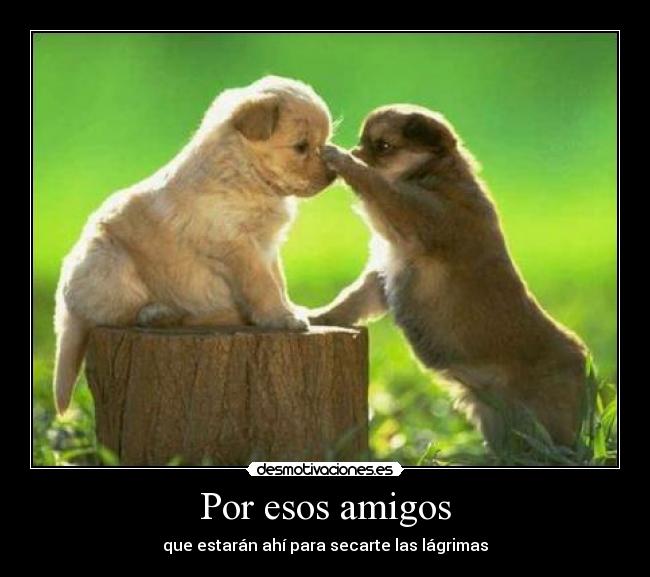 carteles amigos amistad desmotivaciones