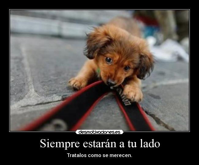 Siempre estarán a tu lado -