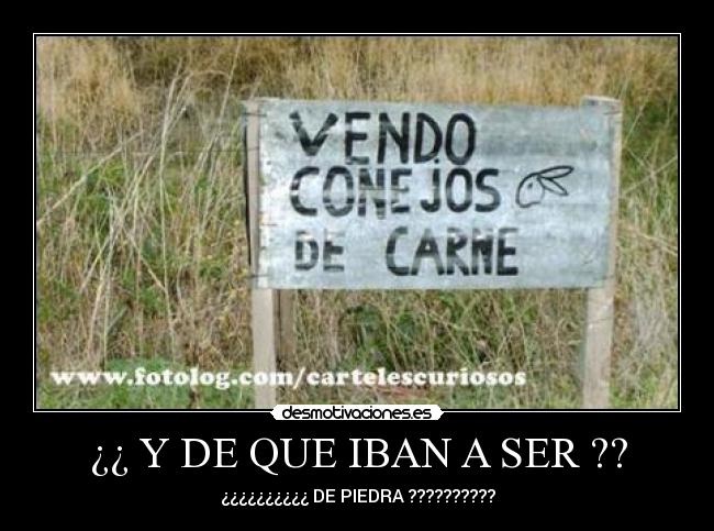 ¿¿ Y DE QUE IBAN A SER ?? - ¿¿¿¿¿¿¿¿¿¿ DE PIEDRA ??????????