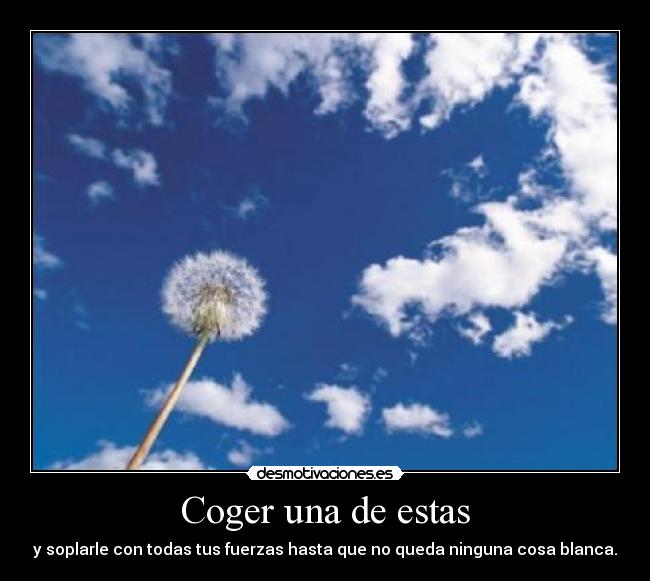 Coger una de estas -