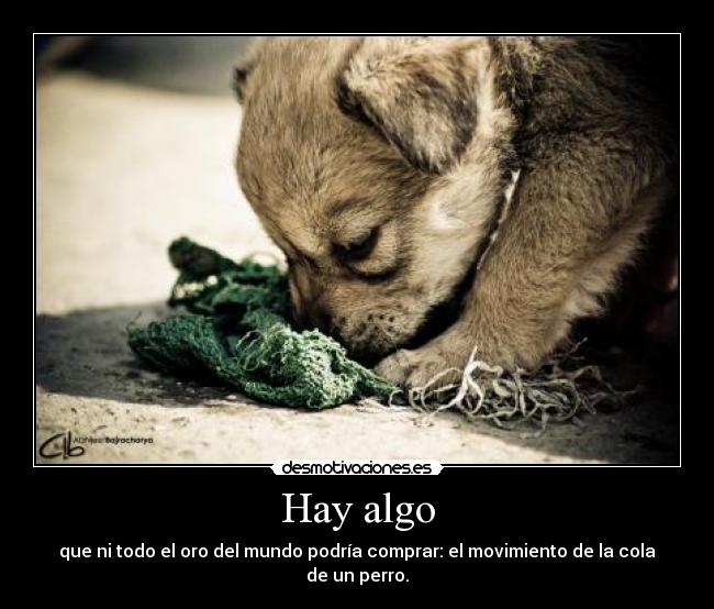 Hay algo - 