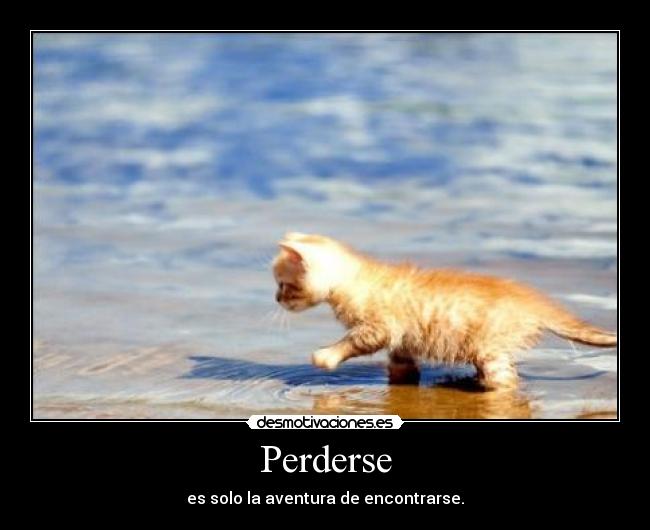 Perderse - es solo la aventura de encontrarse.