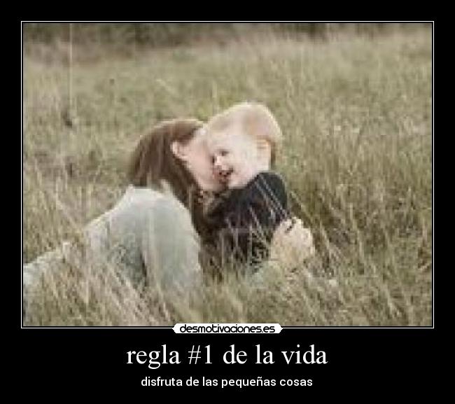 carteles vida regla vida desmotivaciones