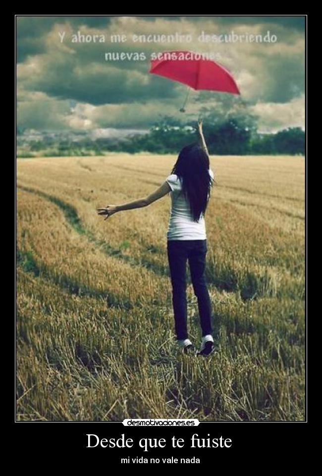 Desde que te fuiste  - 