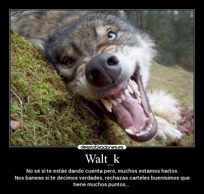 Walt_k - No sé si te estás dando cuenta pero, muchos estamos hartos.
Nos baneas si te decimos verdades, rechazas carteles buenísimos que
tiene muchos puntos...