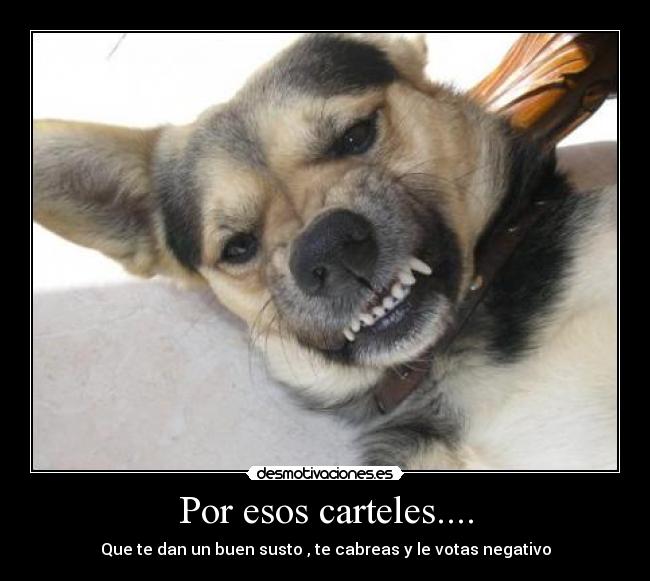 Por esos carteles.... -