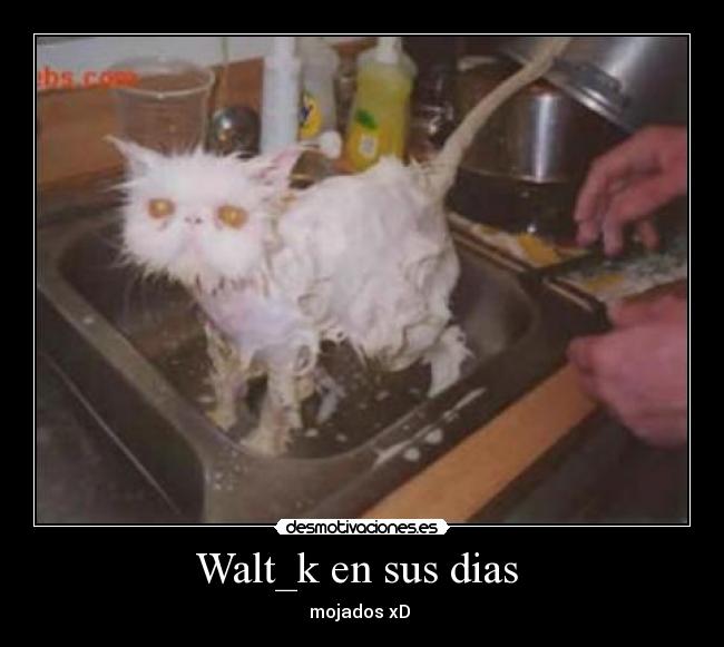 Walt_k en sus dias -