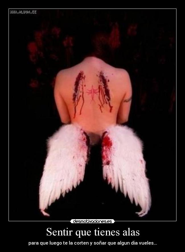 Sentir que tienes alas - para que luego te la corten y soñar que algun dia vueles...