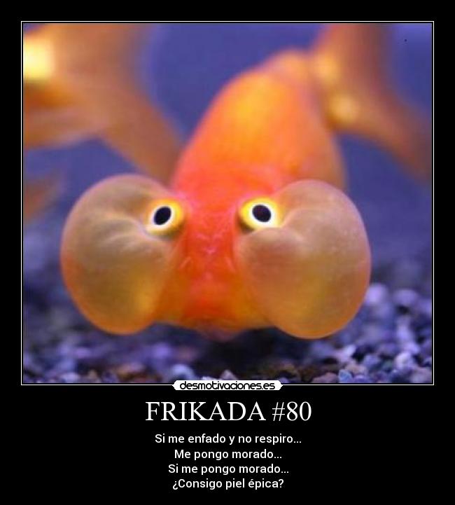 FRIKADA #80 -