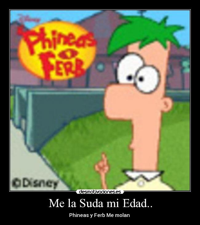 Me la Suda mi Edad.. - Phineas y Ferb Me molan ♥