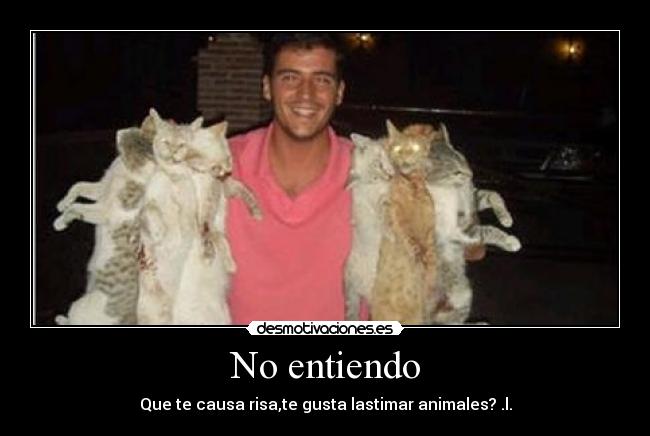 No entiendo - Que te causa risa,te gusta lastimar animales? .l.