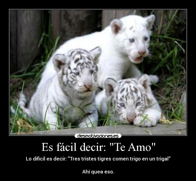Es fácil decir: Te Amo - Lo dificil es decir: Tres tristes tigres comen trigo en un trigal
Ahí quea eso.