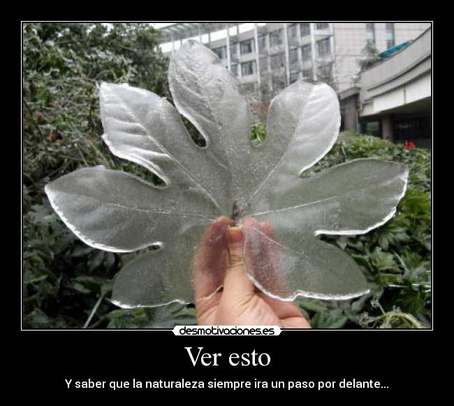 carteles naturaleza impresionante una hoja hielo que mas queda por ver paso por delante desmotivaciones