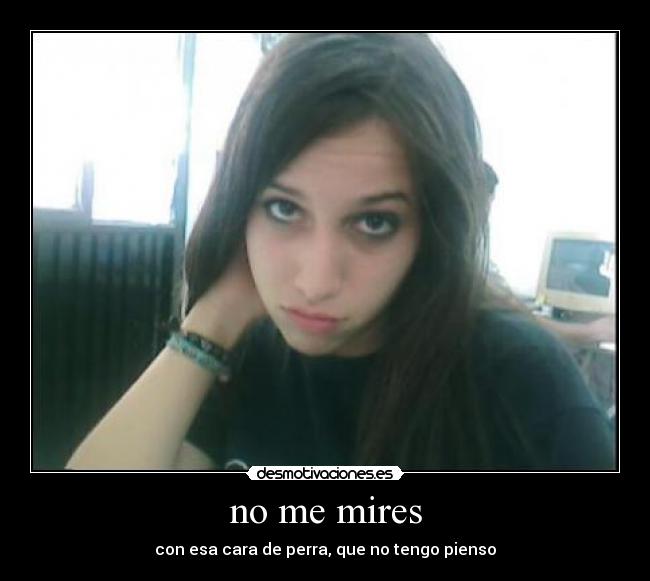 no me mires - con esa cara de perra, que no tengo pienso
