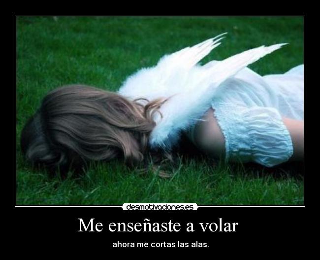 Me enseñaste a volar  - 
