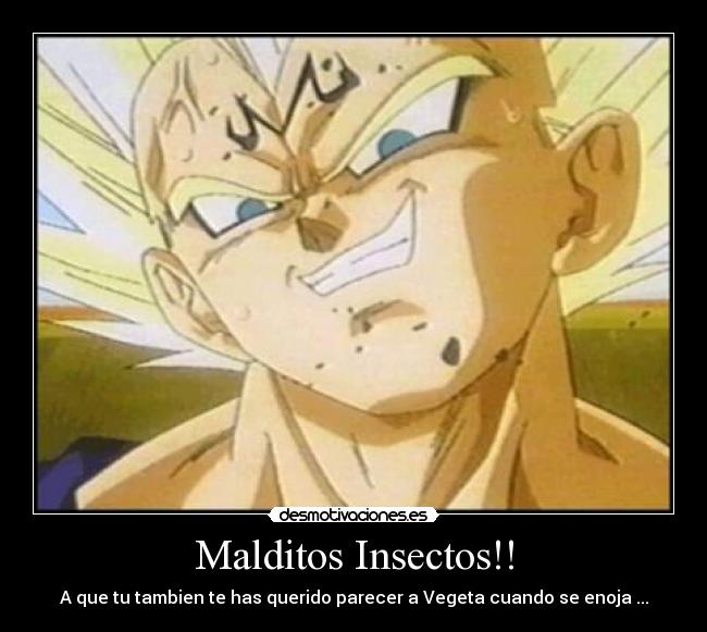 Malditos Insectos!! -