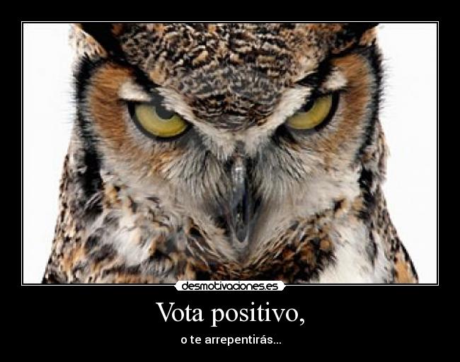 Vota positivo, - o te arrepentirás...