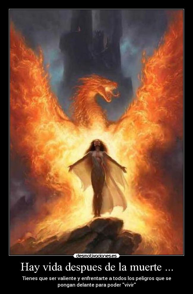 Hay vida despues de la muerte Desmotivaciones Hay vida despues de la muerte Desmotivaciones