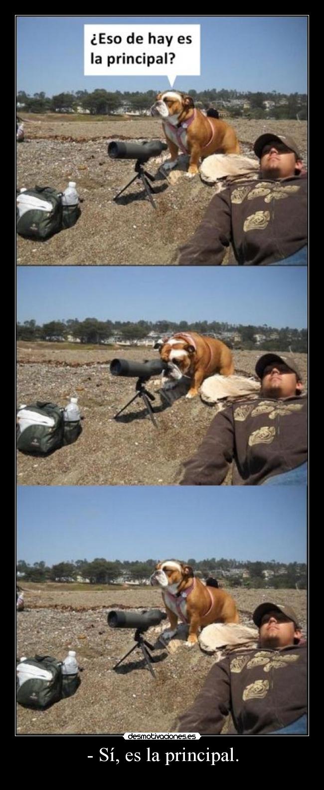 - Sí, es la principal. - 