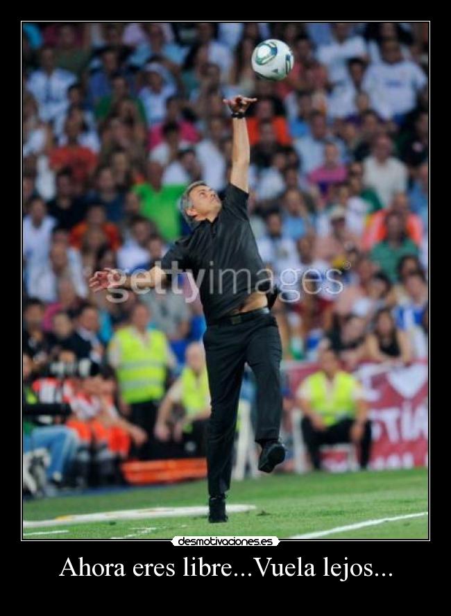 Ahora eres libre...Vuela lejos... - 