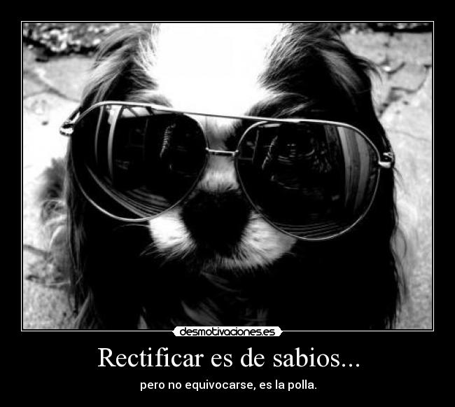 Rectificar es de sabios... - pero no equivocarse, es la polla.