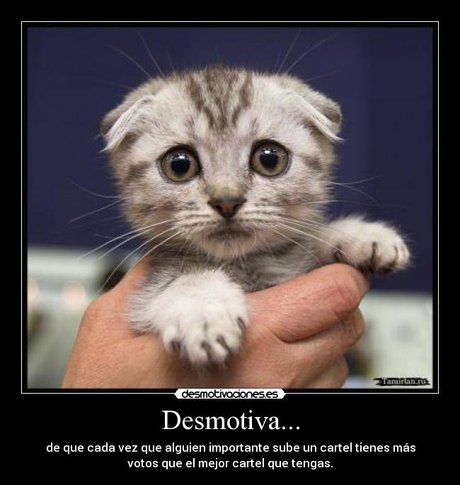 Desmotiva... - 
