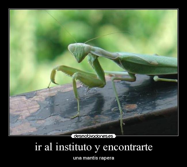ir al instituto y encontrarte - 