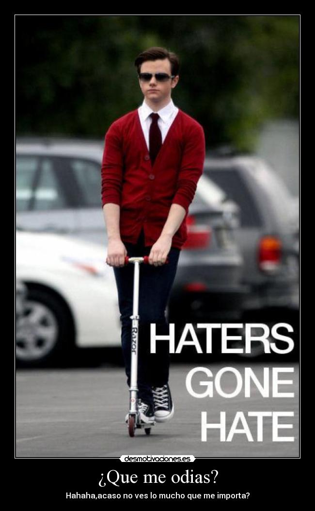 ¿Que me odias? - Hahaha,acaso no ves lo mucho que me importa?