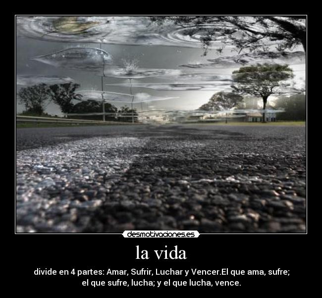 la vida - 