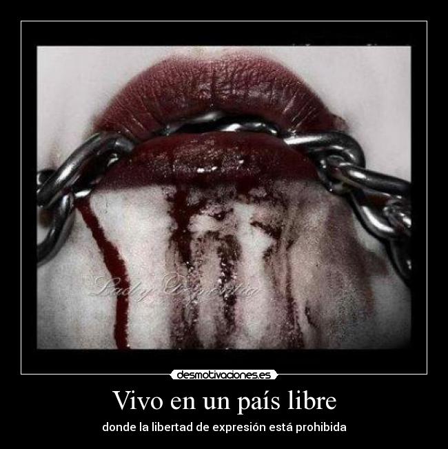 carteles pais libre desmotivaciones