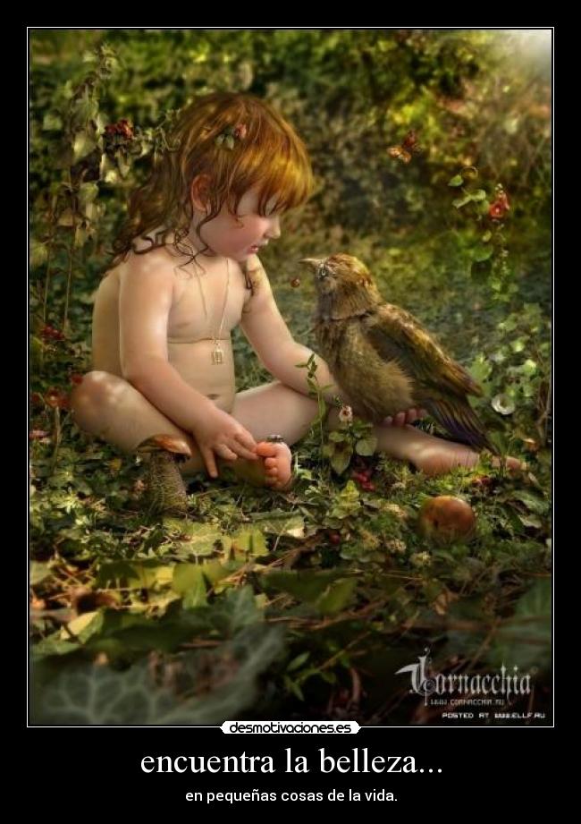 encuentra la belleza... -